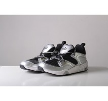 Кроссовки Puma Trinomic Blaze Silver/Blue 