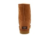 UGG CLASSIC SHORT BOOT CHESTNUT - Фото 4