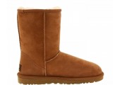 UGG CLASSIC SHORT BOOT CHESTNUT - Фото 1