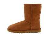 UGG CLASSIC SHORT BOOT CHESTNUT - Фото 2