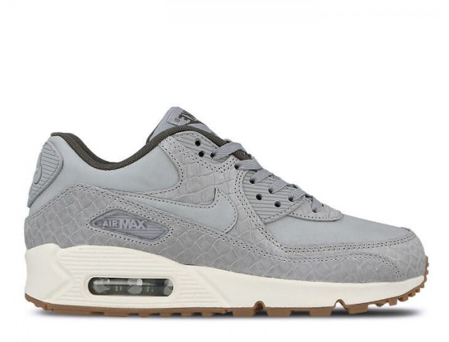Кроссовки Nike Air Max 90 PRM Wolf Grey/Sail/Midnight Fog