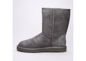 UGG CLASSIC SHORT BOOT GREY - Фото 6
