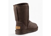UGG Classic Short Chocolate - Фото 3